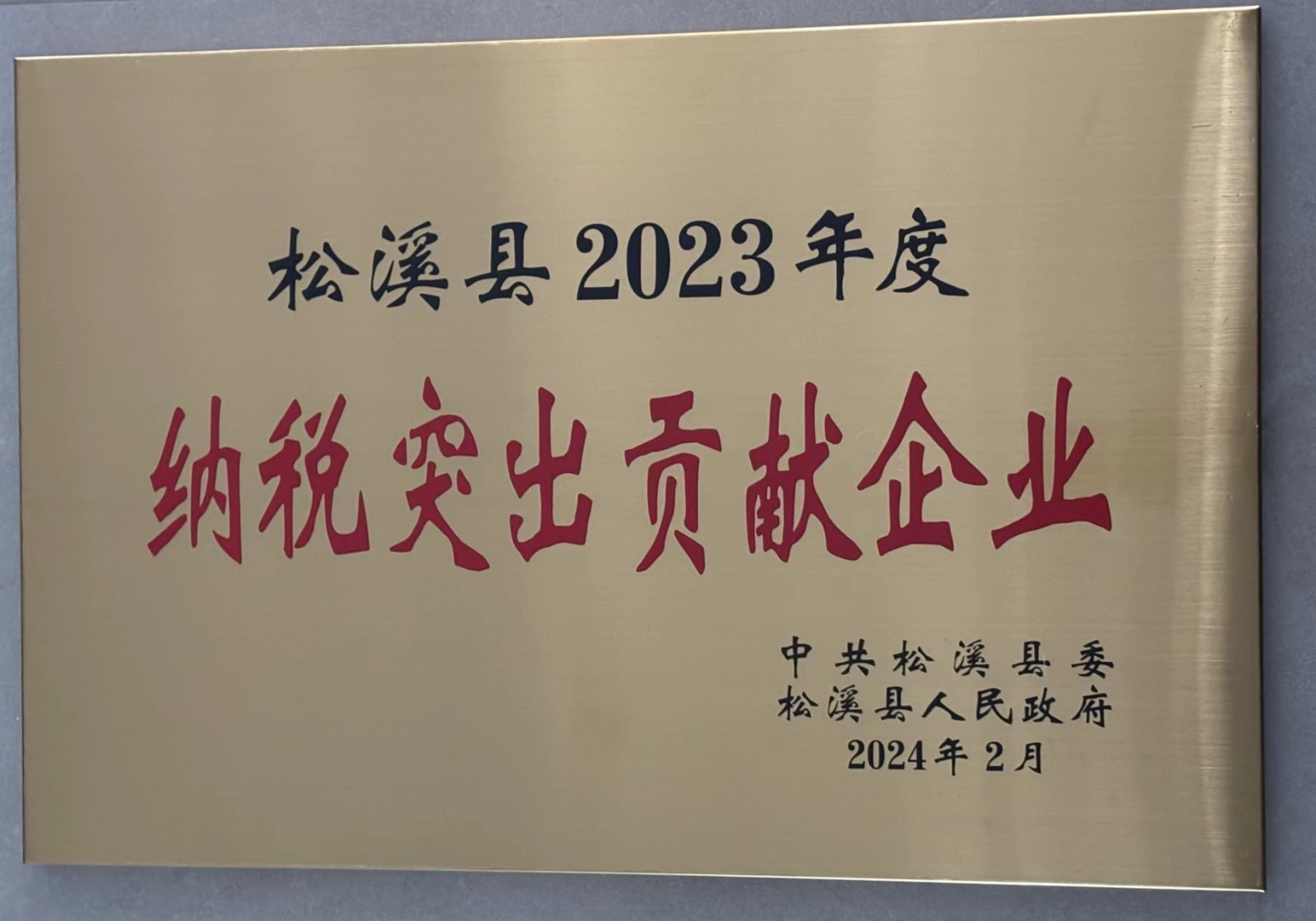 喜報!易順建工集團榮獲“松溪縣2023年度納稅突出貢獻企業(yè)”稱號